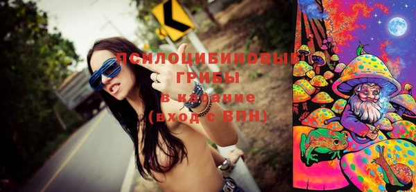 бошки Новозыбков