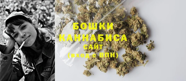 бошки Новозыбков
