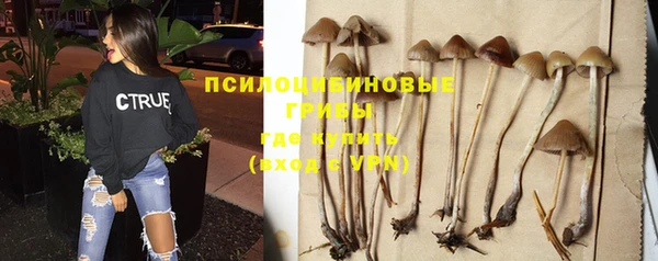 ГАЛЛЮЦИНОГЕННЫЕ ГРИБЫ Новодвинск